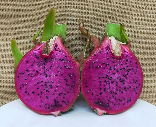 Pitaya Dragonfruit American-Beauty