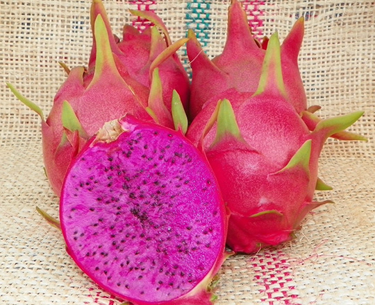 Pitaya Dragonfruit purple haze